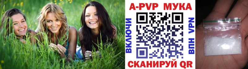 Alfa_PVP СК  Гаврилов Посад 