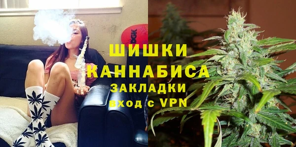 крисы Алзамай